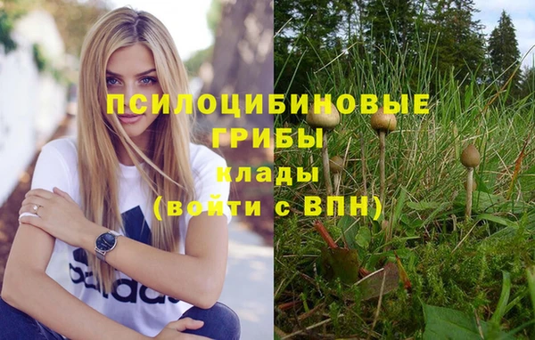 дживик Коряжма