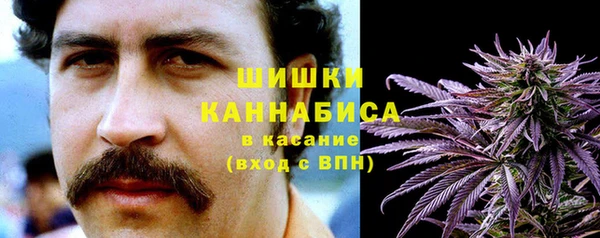 PSILOCYBIN Алзамай