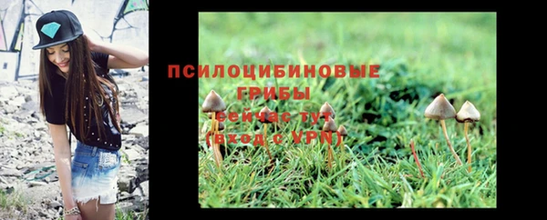 мескалин Корсаков