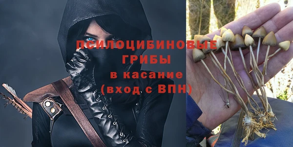 ешки Арсеньев