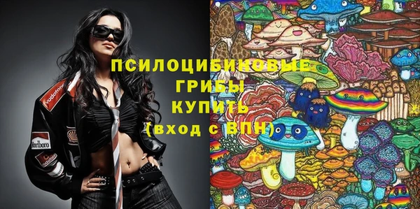 PSILOCYBIN Алзамай