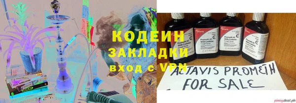 PSILOCYBIN Алзамай
