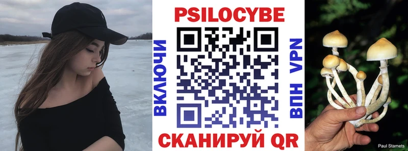 Галлюциногенные грибы Cubensis  где купить   Глазов 